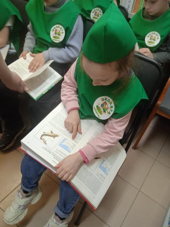 img (3)
